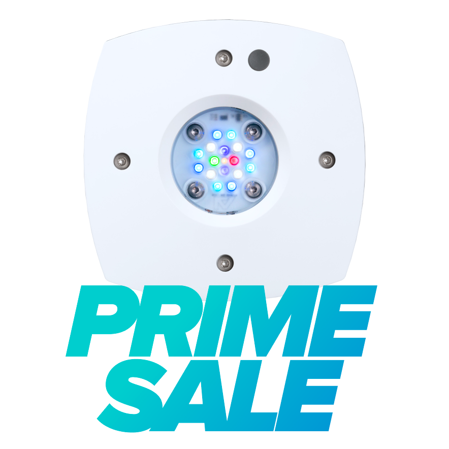 Prime 16 HD