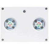 Hydra 32 HD - Freshwater